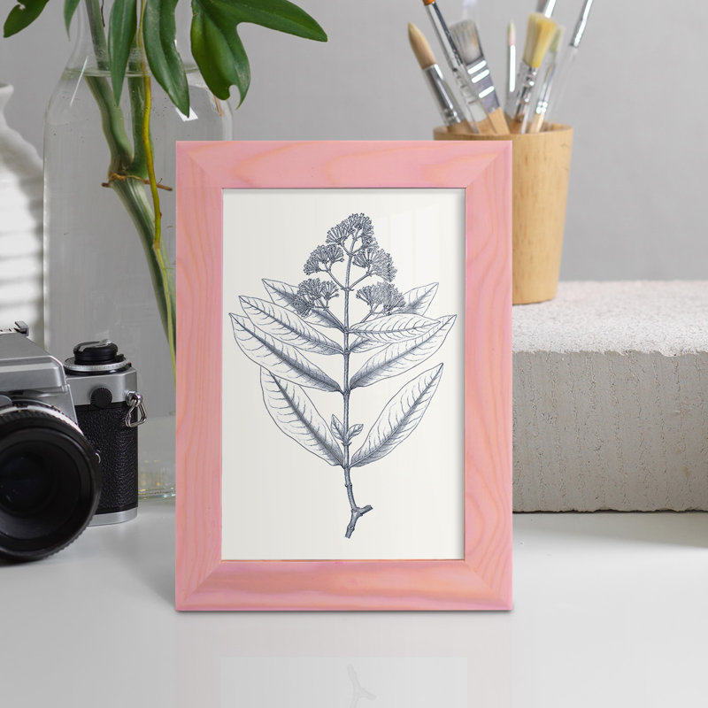 Indigo Botany Study I - impression d'un cadre photo, H 6 po x l 4 po x P 1 po, Rose