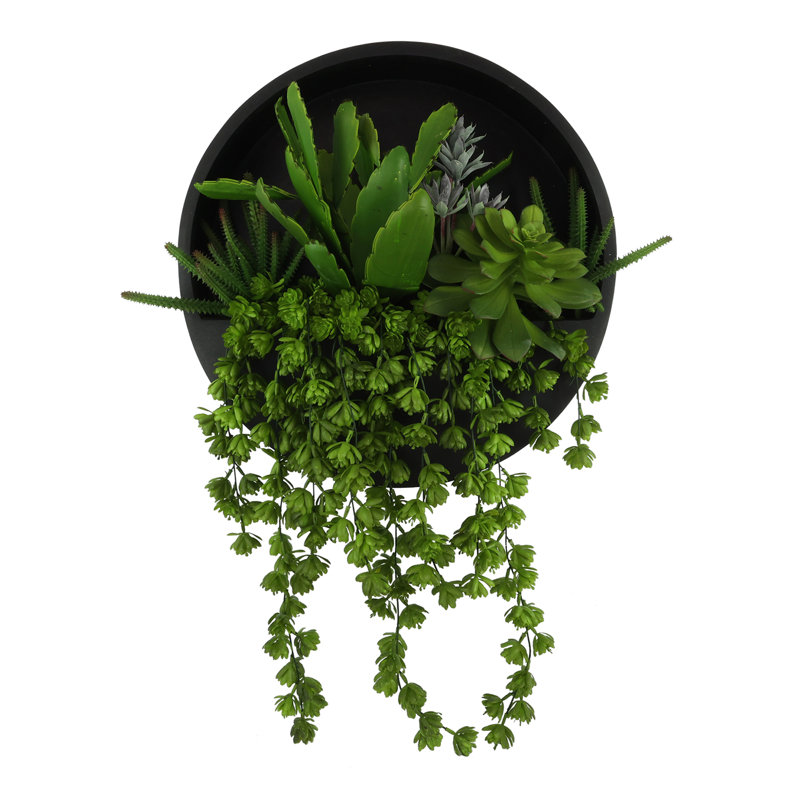 Cactus, Sedum et Echeveria disposés dans un pot suspendu en Fiberstone, Noir, H 33 po x l 24 po x P 8 po