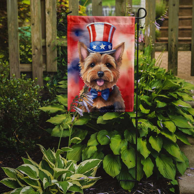 Drapeau patriotique du jardin américain, Norwich Terrier