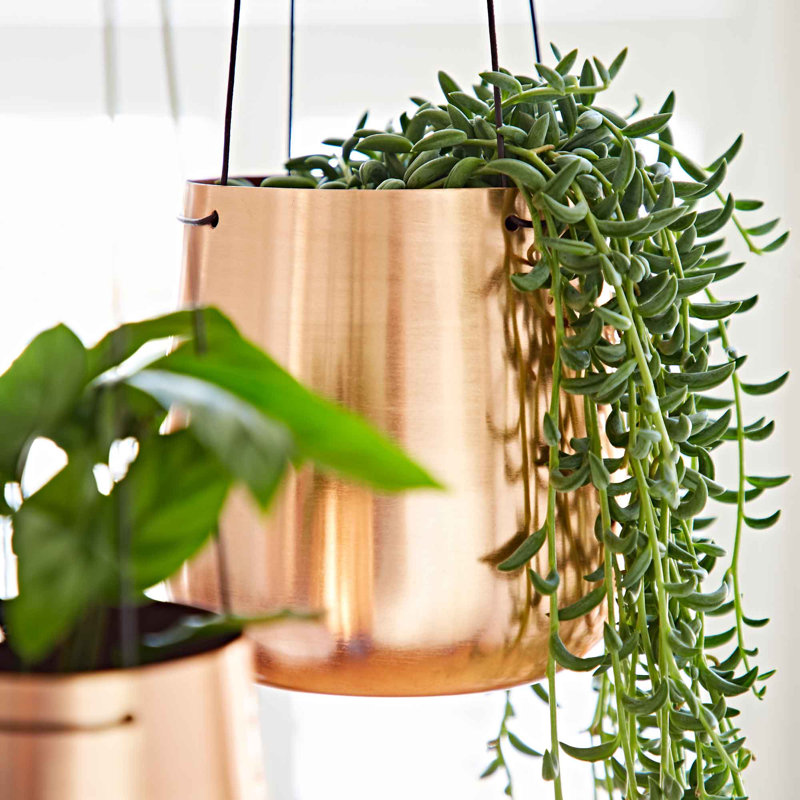 Iron Hanging Planter, 15cm H x 16cm W x 16cm D