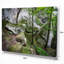 « profonde forest », reproduction de photo sur toile tendue-18297047