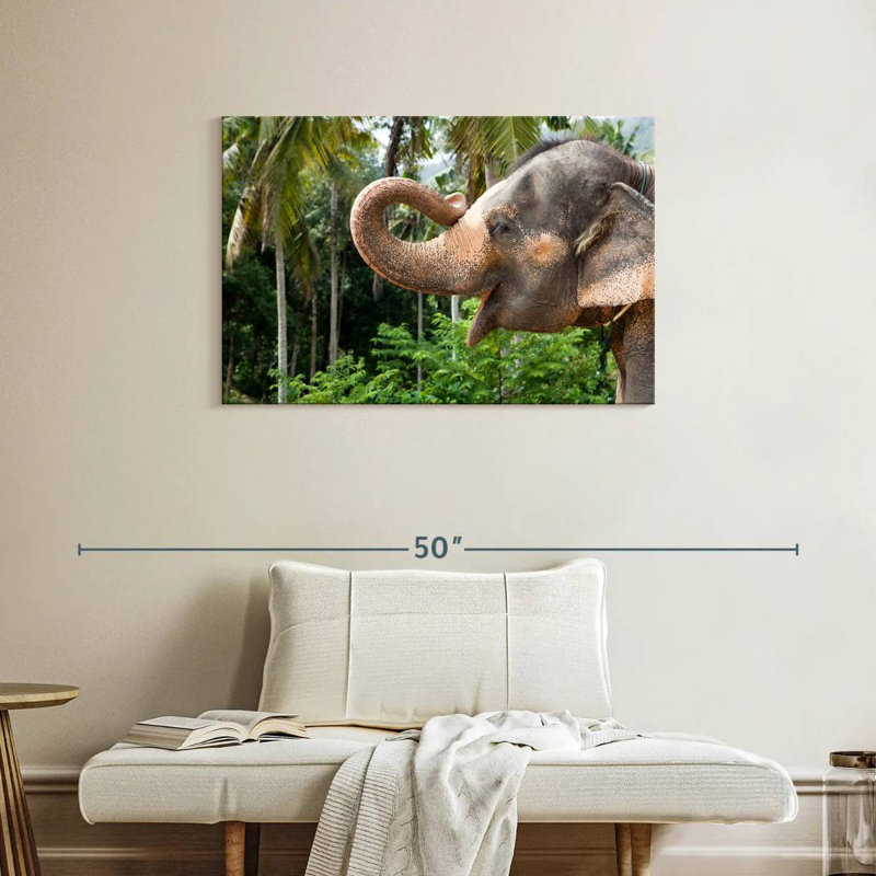 Brampt Smiling Asian Elephant, 24" H x 36" W