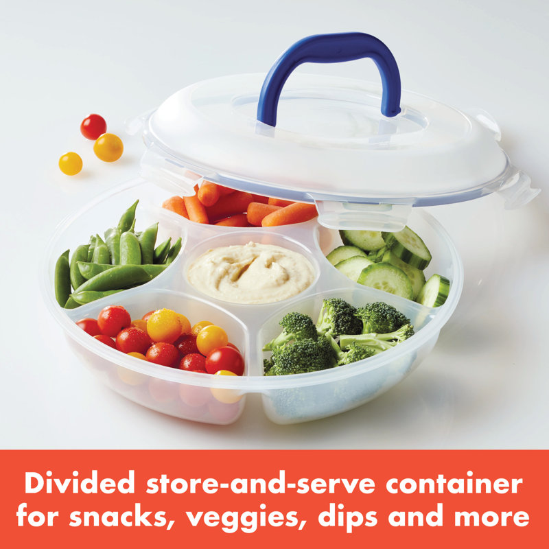 Easy Essentials™ Food Storage Container