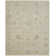 Wool Oriental Area Rug in Beige