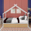 Jude Metal House Bed with Two Drawers,-1595552404-1595552407