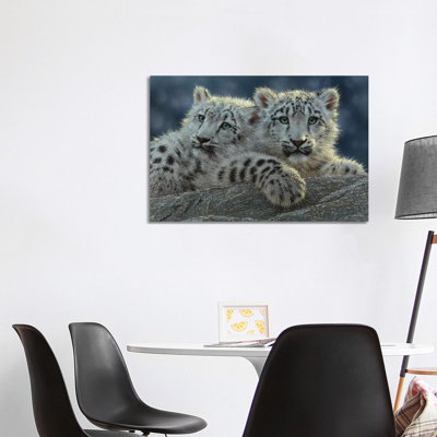 Oursons snow leopard, horizontal