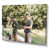 Wrapped Canvas
