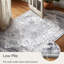 Floral 60cm X 90cm Area Rug
