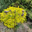 Animals Metal Garden Statue