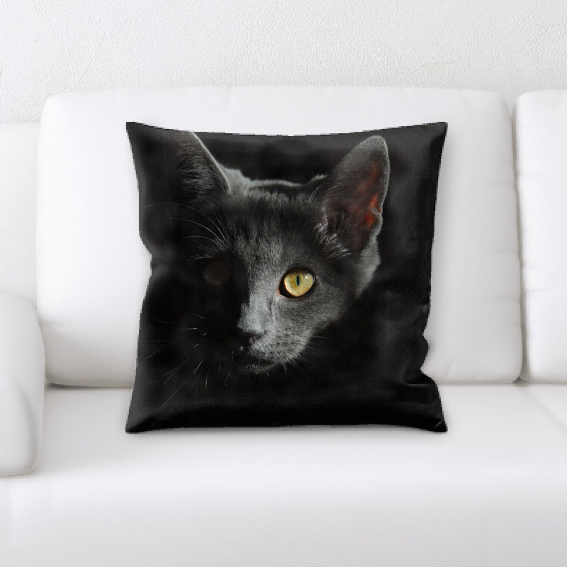 Coussin pour chat