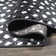 Antelope Modern Animal Black/Cream Rug