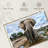 Brampt Safari Elephants-107699192