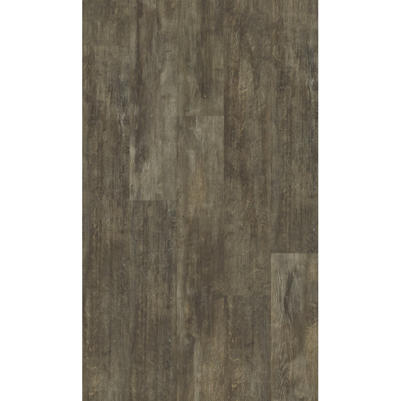 Nez de marche 0,13 po x 1,75 po x 94 po, Shelton