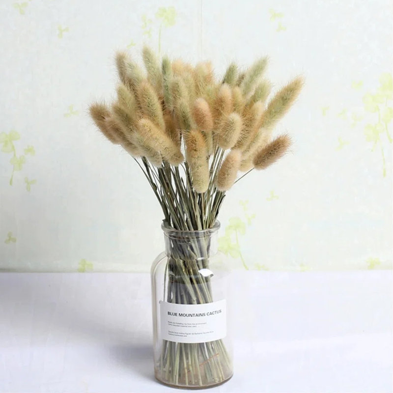 Preserved Lagurus Ovatus Arrangement, Natural