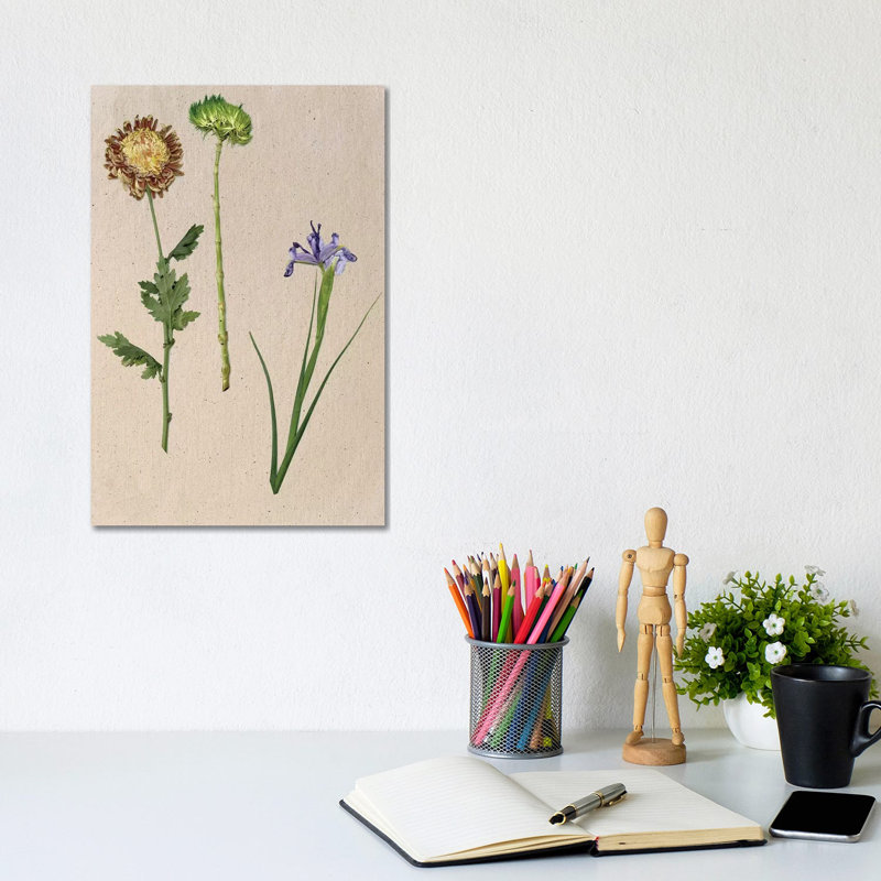 Pretty Pressed Flowers III by Melissa Wang - Wrapped Canvas Painting, 20.32 cm H x 30.48 cm W
