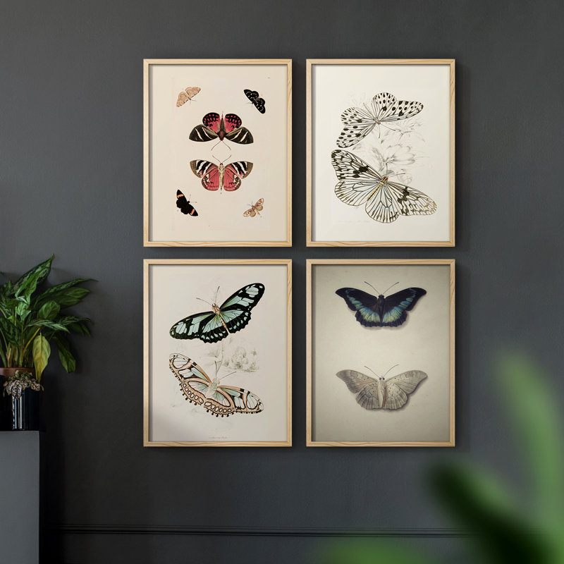 «Vintage Animal Print», impression encadrée XLV III - ensemble de 4, H 14 po x l 44 po