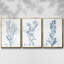 Ensemble de 3 pièces botaniques antiques en bleu I sur toile tendue-97759524-97759525