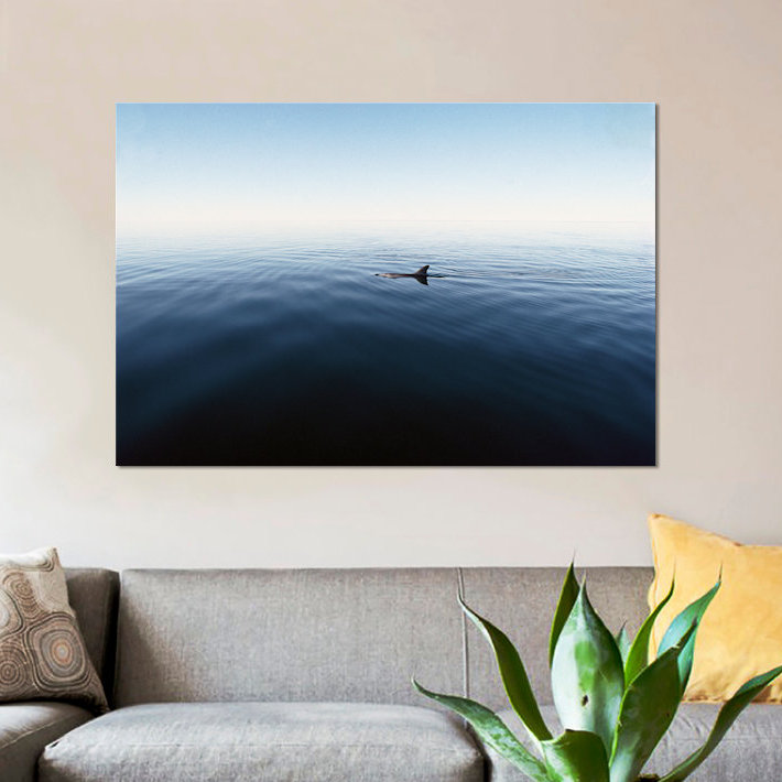 " Bottlenose Dolphin Surfacing, Shark Bay, Australia " by Flip Nicklin, 26" H x 40" W x 1.5" D, No Mat, Wrapped Canvas