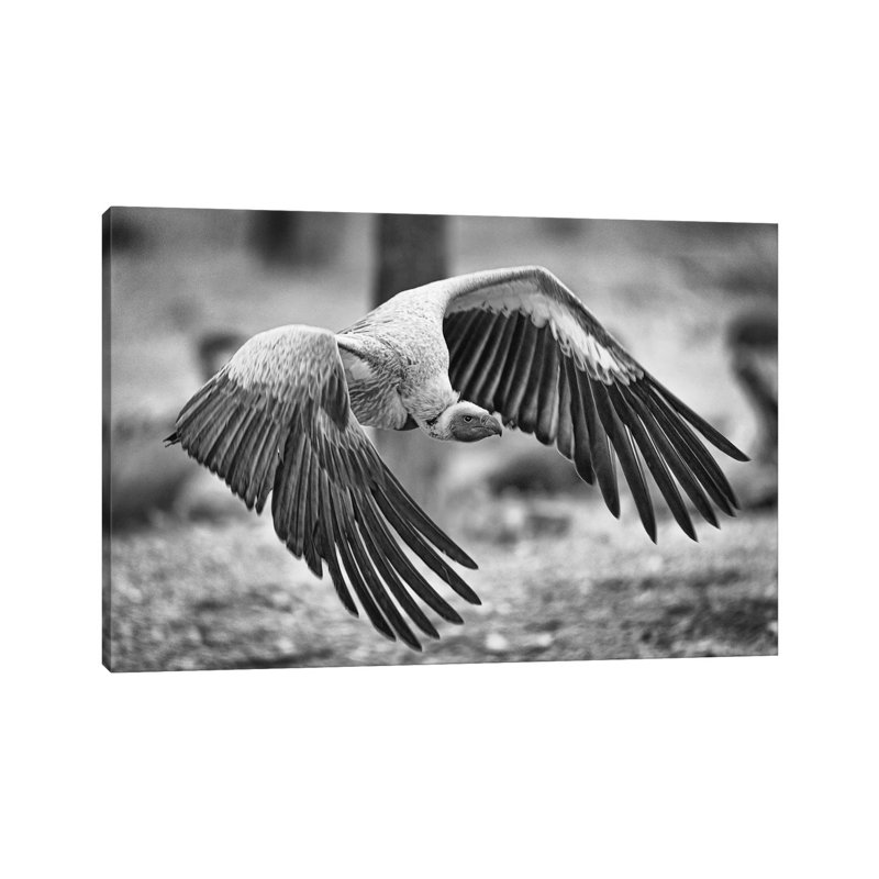 The Attack by Jeffrey C. Sink - Wrapped Canvas Print