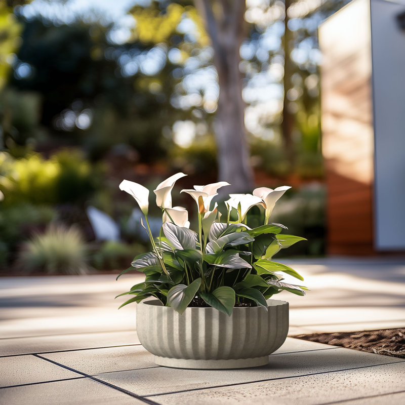 Large Concrete Round Planter / Pot With Drainage Holes, 8.27" H x 20.87" W x 20.87" D, Light Gray