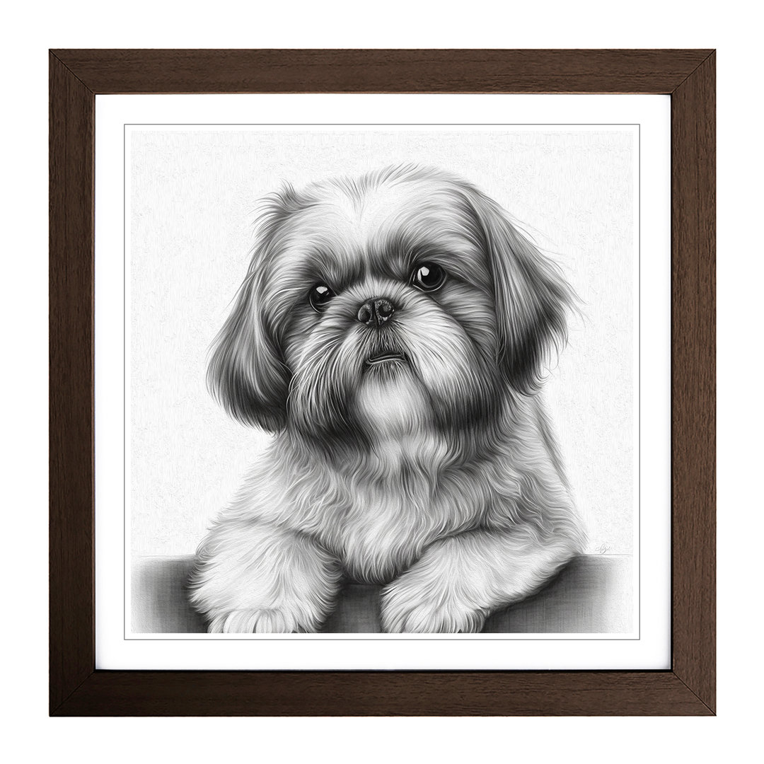 Shih Tzu Drawing - Single Picture Frame Print on Wood