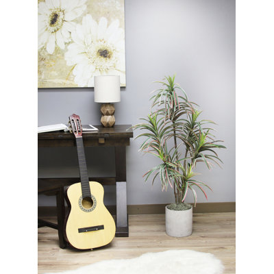 Faux Dracaena Plant in Plastic Pot Liner