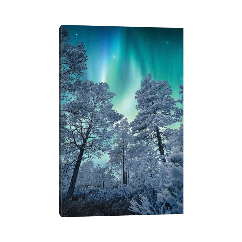 Winter Magic by Lauri Lohi - Wrapped Canvas Painting, 66.04 cm H x 45.72 cm W x 1.91 cm D