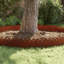 22 cm H x 103 cm W