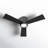 Rodrick Ceiling Fan with LED Lights-90781350-90781352