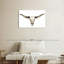 Crâne Kerner Longhorn-107688158