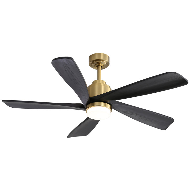 Ventilateur de plafond 52 pouces avec lumière DEL à intensité variable et 5 pales en bois massif, Doré, Noir
