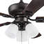 Ventilateur de plafond 44 po avec ensemble d'éclairage Miller Park-547999124