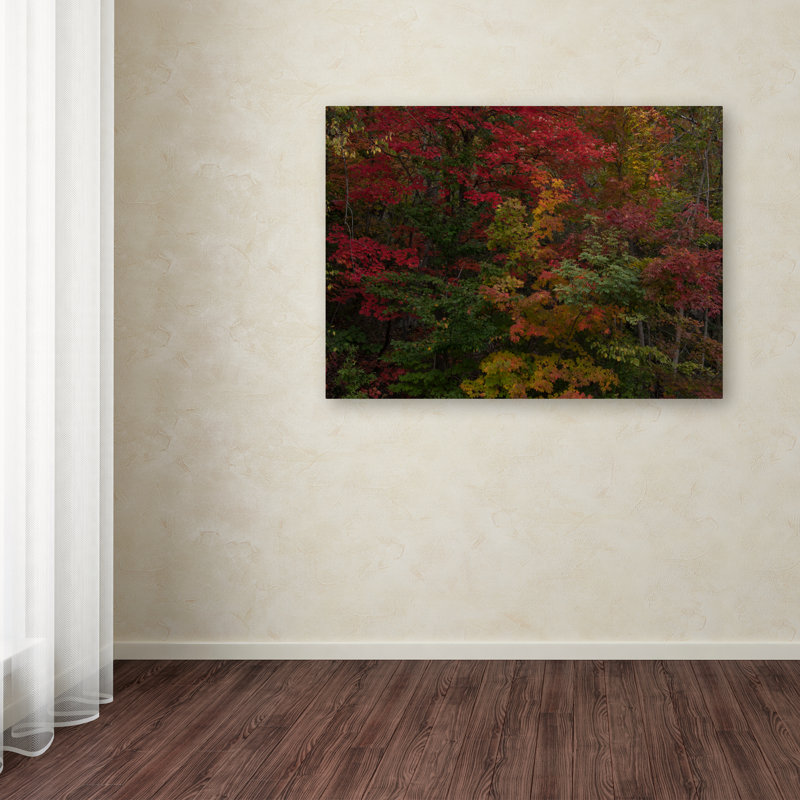 Pourquoi j'aime l'automne par Kurt Shaffer - reproduction de photo sur toile, H 35 po x l 47 po x P 2 po