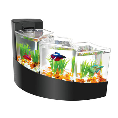 Aquarium Halterman