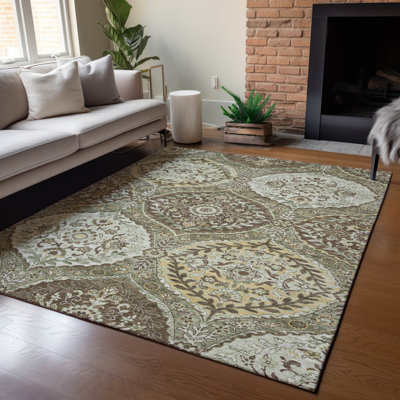 Machine Washable Indoor/Outdoor Chantille ACN2698 Global Rug