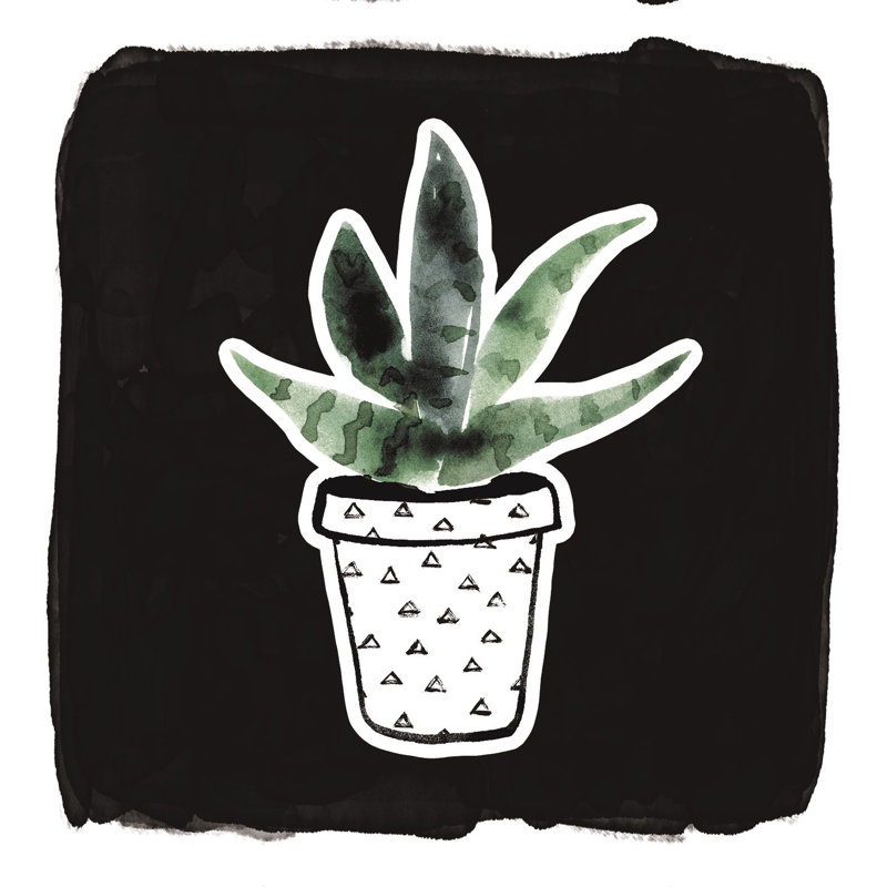 Watercolor Succulent - reproduction d'art sur toile tendue, H 12 po x l 12 po