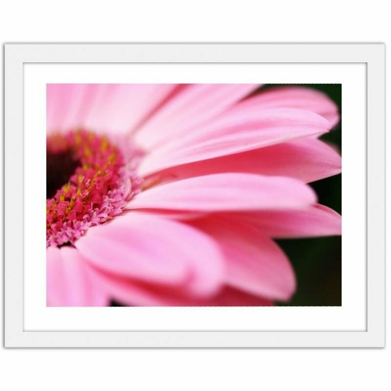 Gerahmter Fotodruck Pink Gerbera