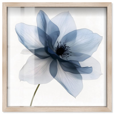 «Morning Petalia I Shadowbox Print», art floral bleu par Art Remedy