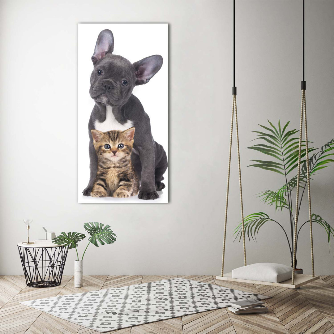 Hund und Katze - Kunstdrucke auf Leinwand - Wrapped Canvas