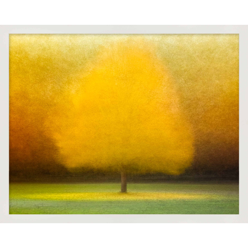 Idyl Wood by Laura Zimmerman - Framed Wall Art, White Framed Paper, 16" H x 20" W