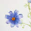 Real Touch Cosmos Faux Floral-1744923473