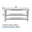 Table de travail commerciale en acier inoxydable avec 2 tablettes, l 30 po x P 60 po-60901503