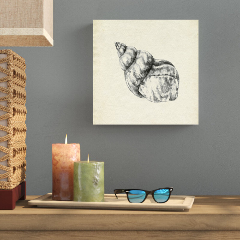 Coquillage croquis au crayon III, H 12 po x l 12 po