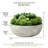 7'' Faux Succulent in Stone Pot-1220934403
