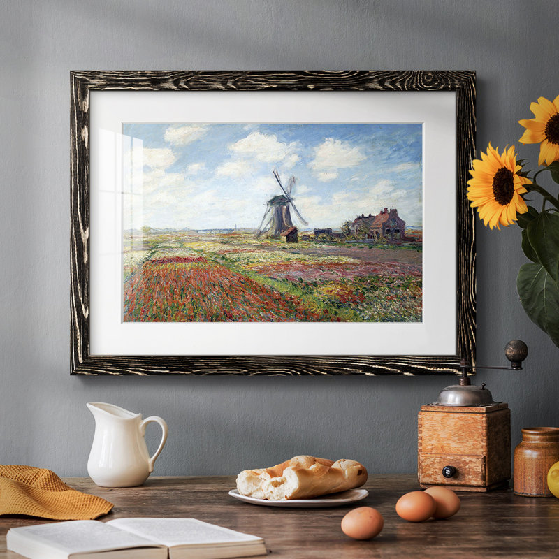 Tulipes des Pays-Bas, Noir