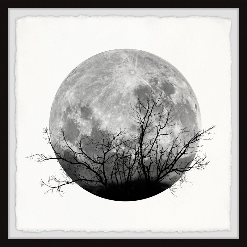 « forest moon », parvez taj, multi-pièces, H 32 po x l 32 po x P 1,5 po