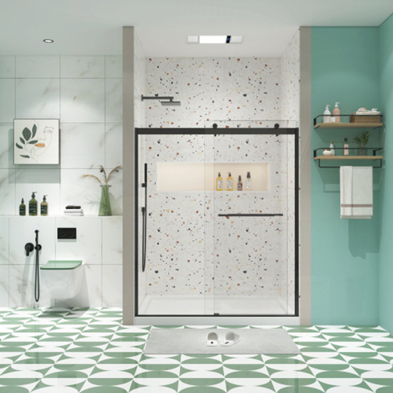 Porte de douche à dérivation, porte coulissante, Noir mat