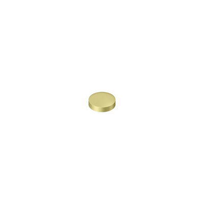 D3F001C48FA64BFF81EF44C55F4F2E76 Couvercle à vis, rond, plat, 1 po de diamètre en laiton poli