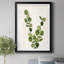 Botanical Wash III - Impression de cadre photo sur papier-1989108938-1989108930