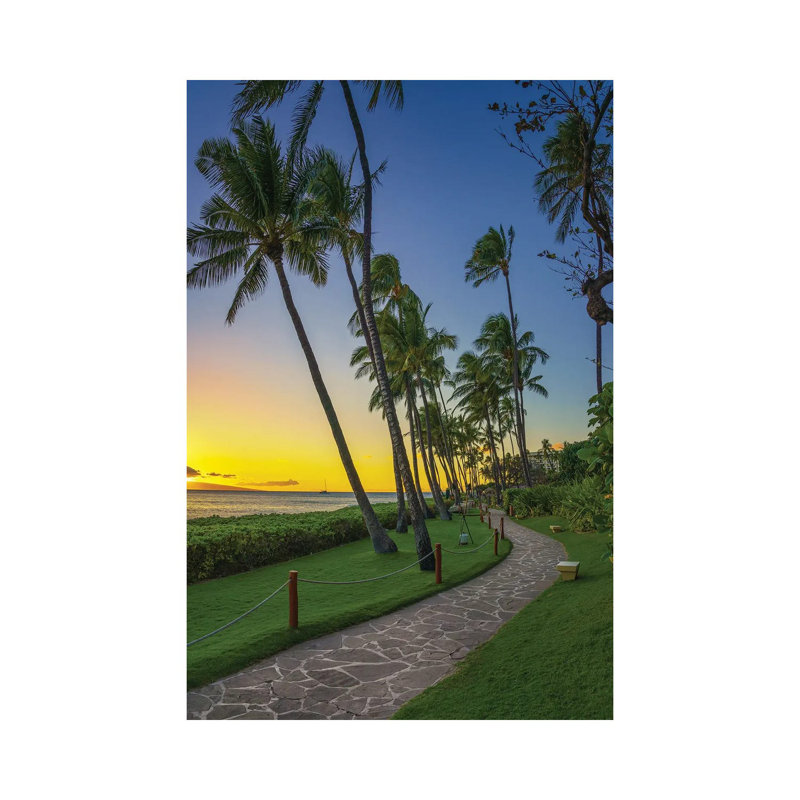 A Stroll In Maui by Jonathan Ross Photography - Wrapped Canvas Print, 20.32 cm H x 30.48 cm W